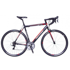 28"Whirlwind 100 16 SPD